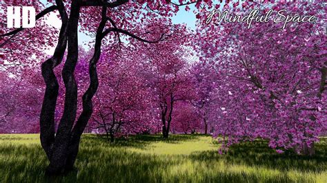 spring calming music|relaxing music with spring scenes.